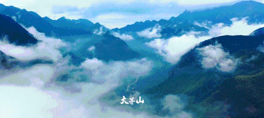 问止中医 | 郝明芬医师:难缠的皮肤病遇上恼人的更年期